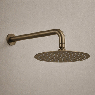 Reno antique brass rainfall shower head on white background full view