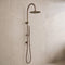 Reno Combination Shower - Antique Brass