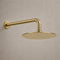 Reno Rainfall Shower System - Polished Gold